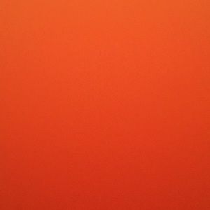 Meet your Posher, Daisy